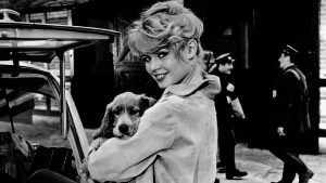 [Aggregator] Downloaded image for imported item #121793