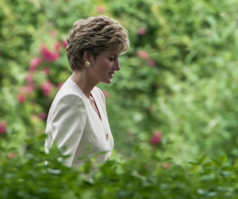 [Aggregator] Downloaded image for imported item #84232