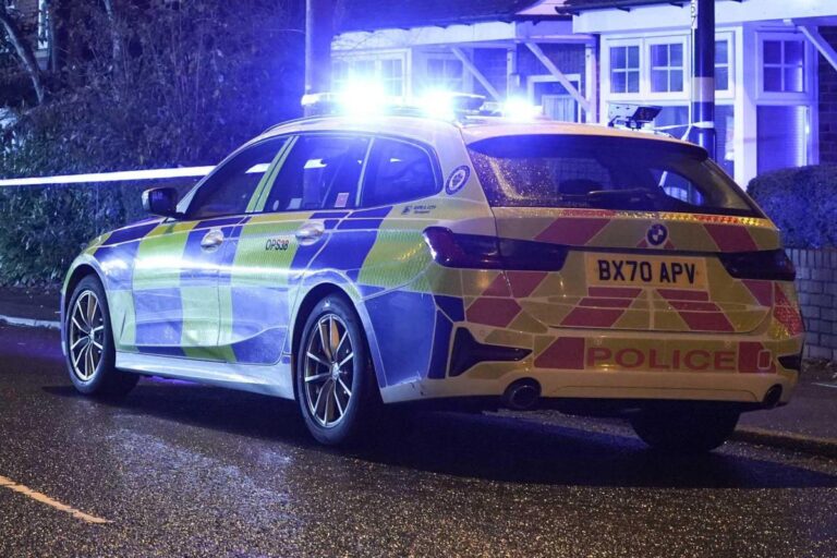 [Aggregator] Downloaded image for imported item #114301