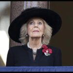 [Aggregator] Downloaded image for imported item #74398