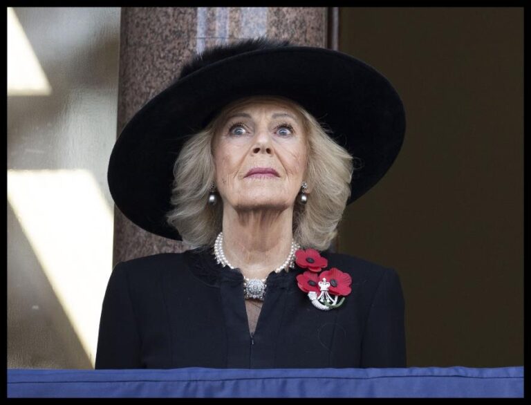 [Aggregator] Downloaded image for imported item #74398