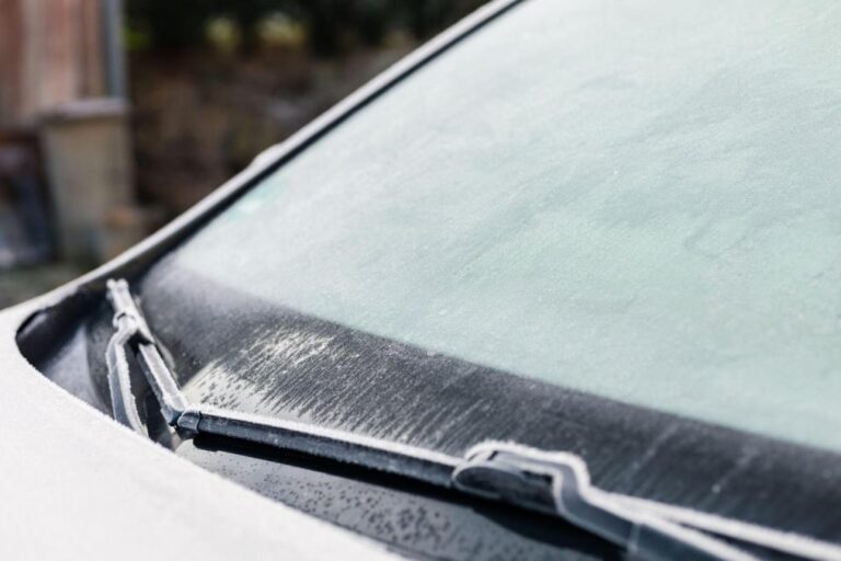 [Aggregator] Downloaded image for imported item #87083