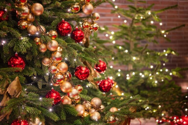 [Aggregator] Downloaded image for imported item #91851