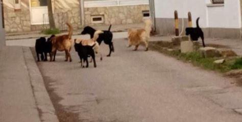 [Aggregator] Downloaded image for imported item #74703