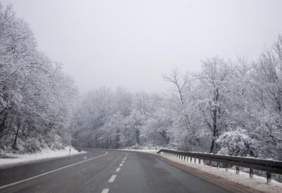 [Aggregator] Downloaded image for imported item #53833