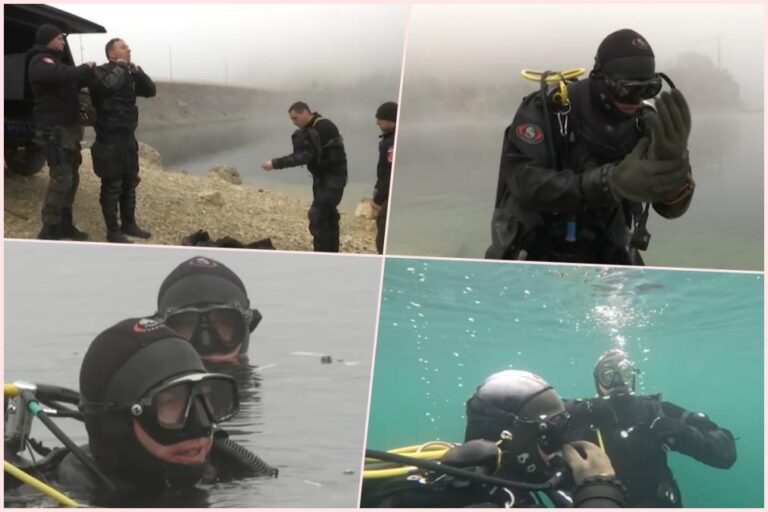 [Aggregator] Downloaded image for imported item #95351