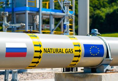 [Aggregator] Downloaded image for imported item #57509