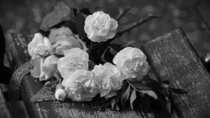 [Aggregator] Downloaded image for imported item #122077