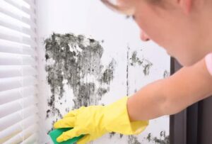 [Aggregator] Downloaded image for imported item #66196