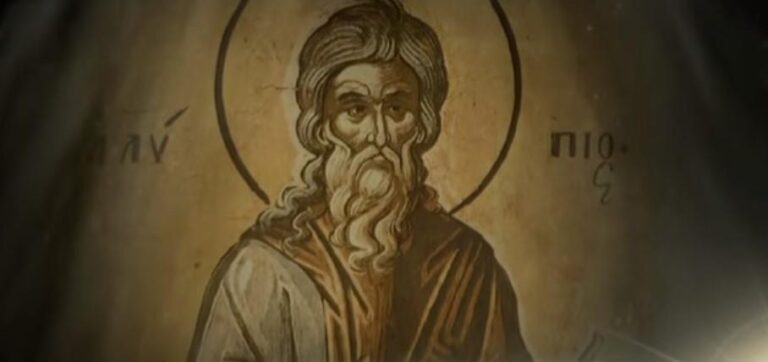 [Aggregator] Downloaded image for imported item #72094