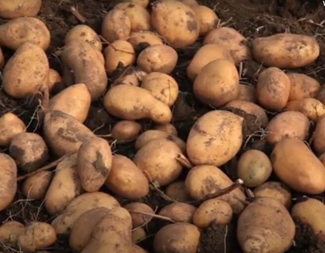 [Aggregator] Downloaded image for imported item #55323