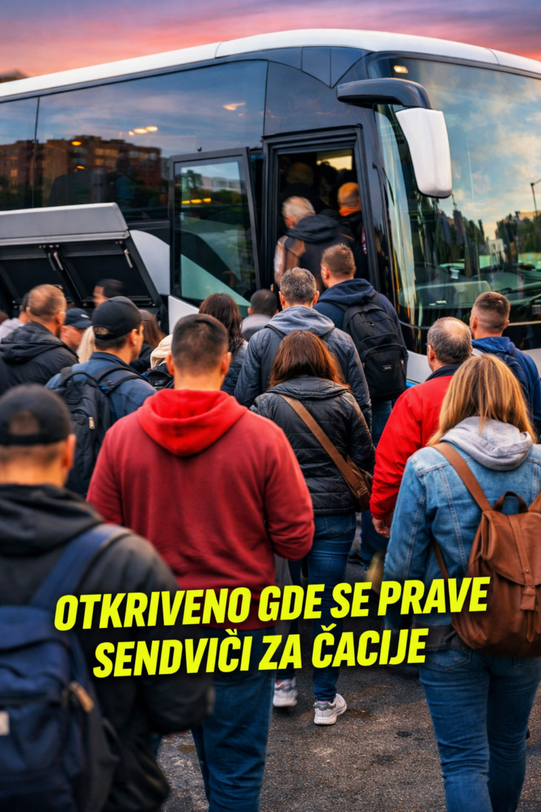 Milica pravi sendviče za ćacije Milica Popadić Militsa for you