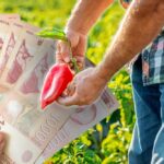 [Aggregator] Downloaded image for imported item #65547