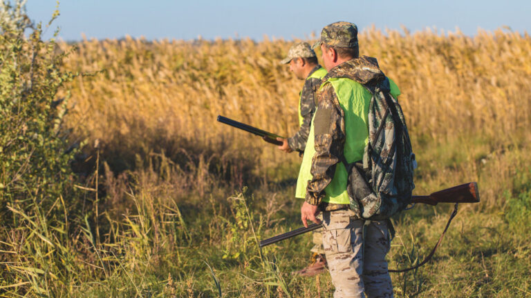 [Aggregator] Downloaded image for imported item #121576