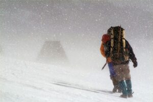 [Aggregator] Downloaded image for imported item #64338