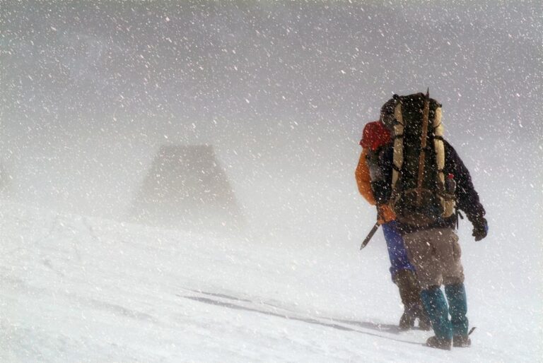 [Aggregator] Downloaded image for imported item #64338