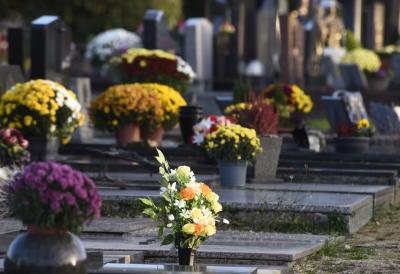 [Aggregator] Downloaded image for imported item #91007