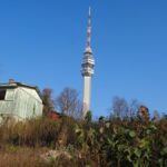 [Aggregator] Downloaded image for imported item #71234