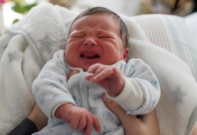 [Aggregator] Downloaded image for imported item #55401