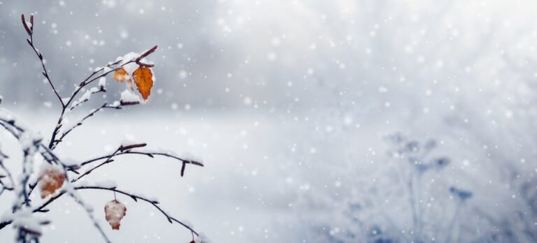 [Aggregator] Downloaded image for imported item #121747