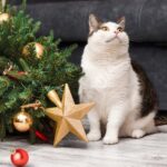 [Aggregator] Downloaded image for imported item #116291