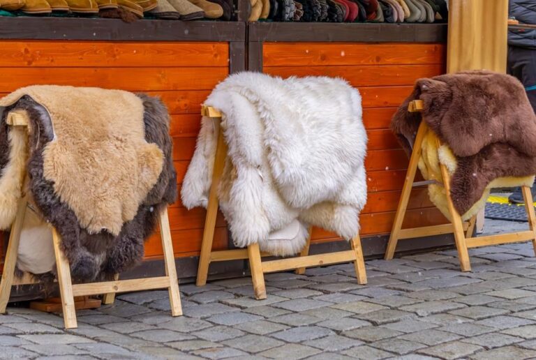 [Aggregator] Downloaded image for imported item #60170