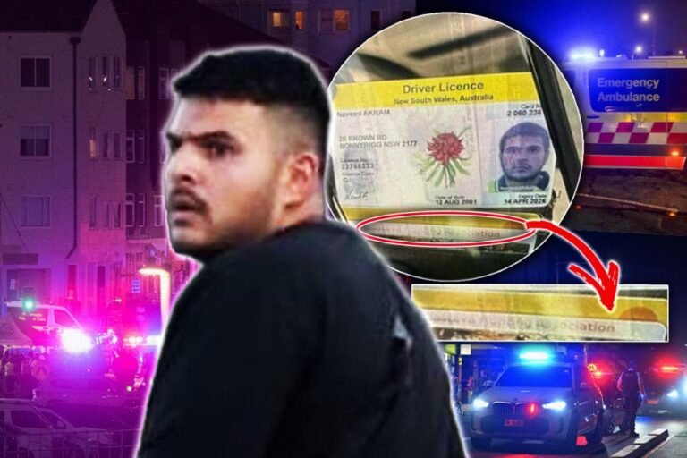 [Aggregator] Downloaded image for imported item #88178