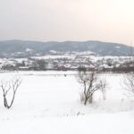 [Aggregator] Downloaded image for imported item #107858