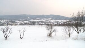 [Aggregator] Downloaded image for imported item #107858