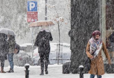 [Aggregator] Downloaded image for imported item #72946