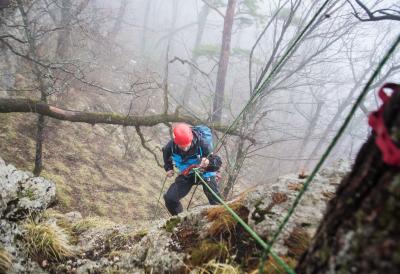 [Aggregator] Downloaded image for imported item #67997