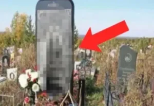 [Aggregator] Downloaded image for imported item #54837