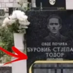 [Aggregator] Downloaded image for imported item #78728