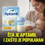 Šta je Aptamil i zašto je popularan