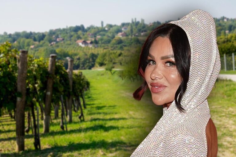 [Aggregator] Downloaded image for imported item #53224