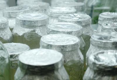 [Aggregator] Downloaded image for imported item #80320