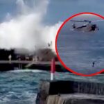 [Aggregator] Downloaded image for imported item #72633