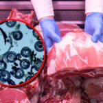 [Aggregator] Downloaded image for imported item #106933