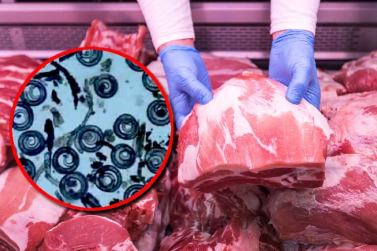 [Aggregator] Downloaded image for imported item #106933