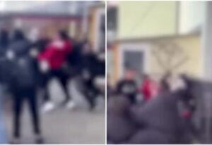 [Aggregator] Downloaded image for imported item #85617