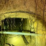 [Aggregator] Downloaded image for imported item #82416