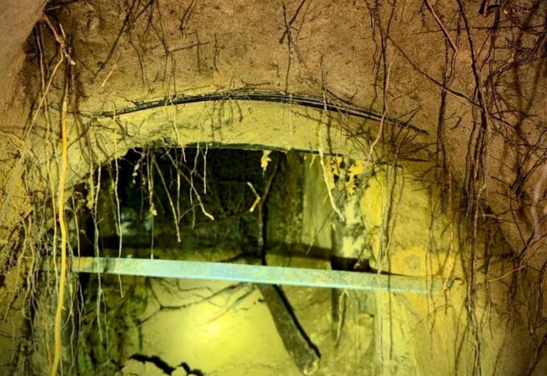 [Aggregator] Downloaded image for imported item #82416