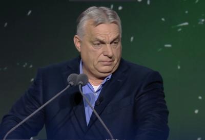 [Aggregator] Downloaded image for imported item #110072