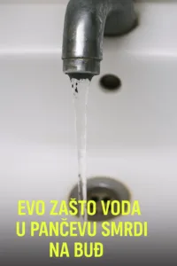 Razlozi zašto voda u Pančevu smrdi na buđ otkriveno