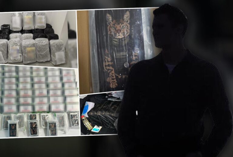 [Aggregator] Downloaded image for imported item #72441