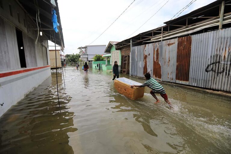 [Aggregator] Downloaded image for imported item #52996