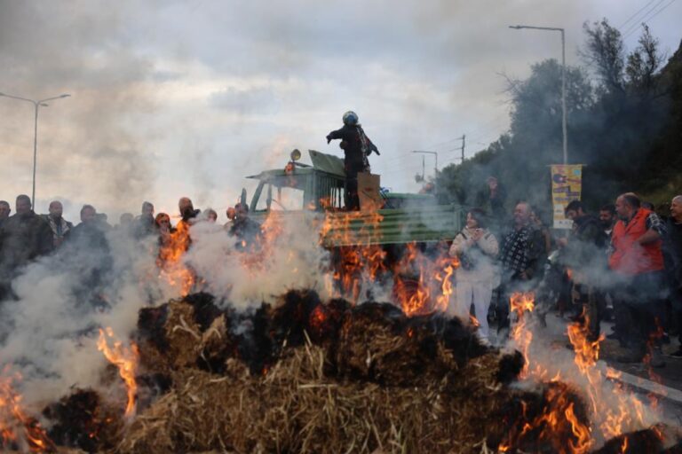 [Aggregator] Downloaded image for imported item #71275