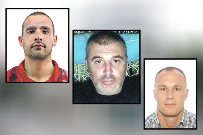 [Aggregator] Downloaded image for imported item #72471