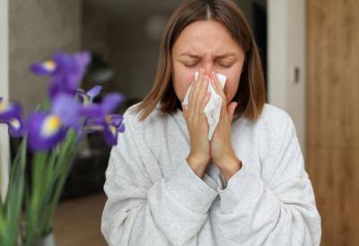 [Aggregator] Downloaded image for imported item #90047