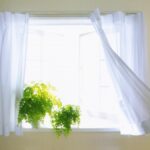 [Aggregator] Downloaded image for imported item #109016